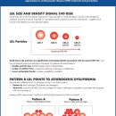 A CLOSER LOOK AT CHOLESTEROL AND CARBOHYDRATES