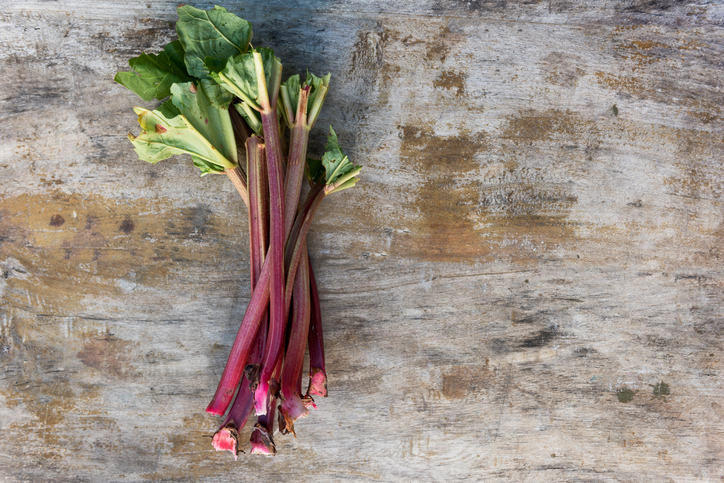 fresh rhubarb stalks