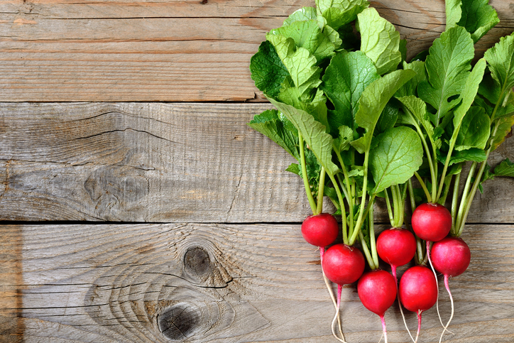 fresh radishes