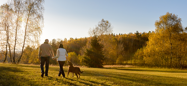 Health Benefits of Walking